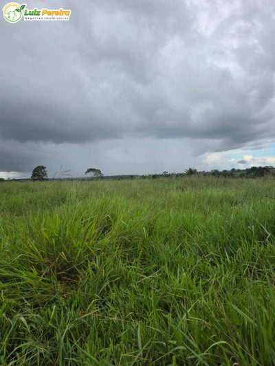 Terreno, 1000 m² - Foto 2