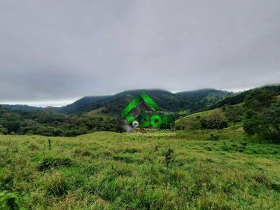 Sítio, 2 quartos, 41 hectares - Foto 4