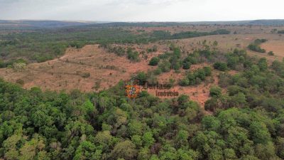 Fazenda, 3125 hectares - Foto 2