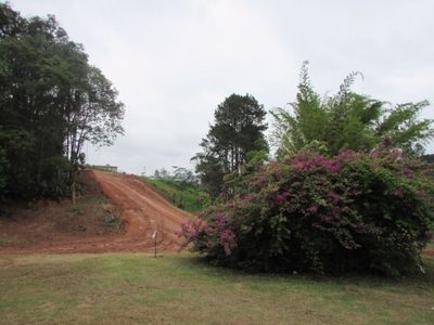Terreno, 125 m² - Foto 4