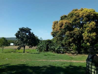 Chácara, 4 quartos - Foto 1