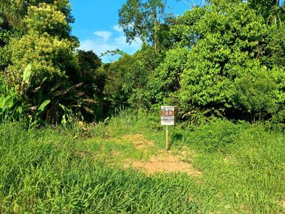 Terreno, 4 hectares - Foto 1