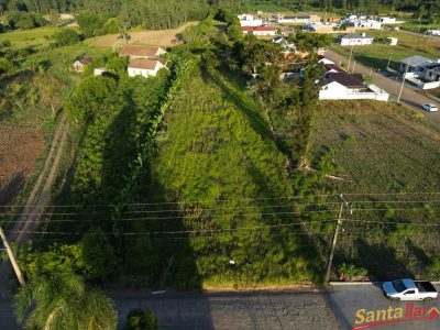 Chácara, 4 hectares - Foto 1