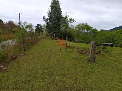 Terreno, 3 hectares - Foto 4