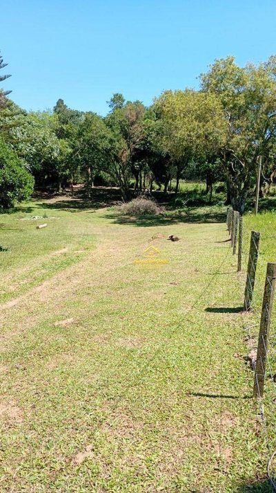 Sítio, 5 quartos, 8 hectares - Foto 2