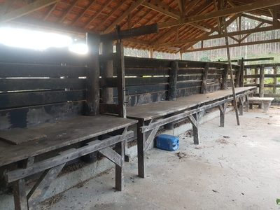 Fazenda, 500 m² - Foto 3