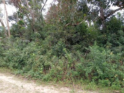 Terreno, 1012 m² - Foto 2