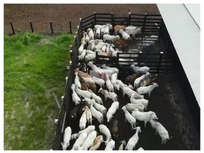 Fazenda, 4600 m² - Foto 4