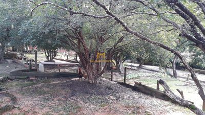 Chácara, 4 quartos - Foto 3