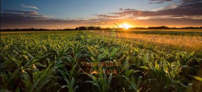 Fazenda, 2 hectares - Foto 1