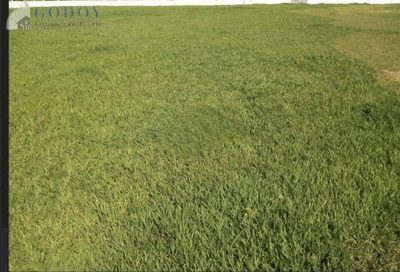 Terreno, 1200 m² - Foto 1
