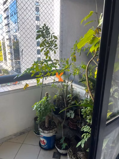 Apartamento, 3 quartos, 93 m² - Foto 2