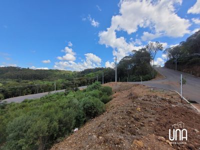 Terreno - Foto 4