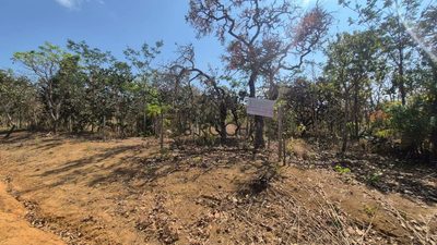 Chácara, 2 hectares - Foto 3
