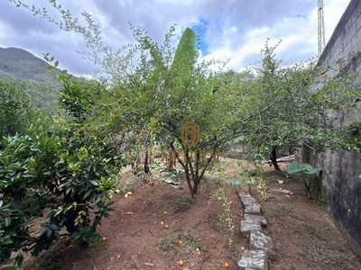 Casa, 5 quartos, 488 m² - Foto 5