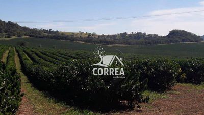 Fazenda, 278 hectares - Foto 3