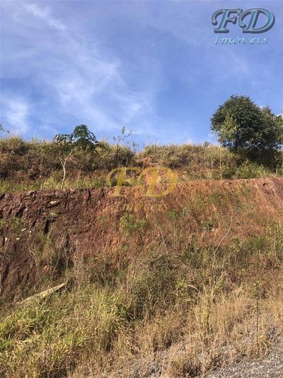 Terreno, 6 hectares - Foto 4