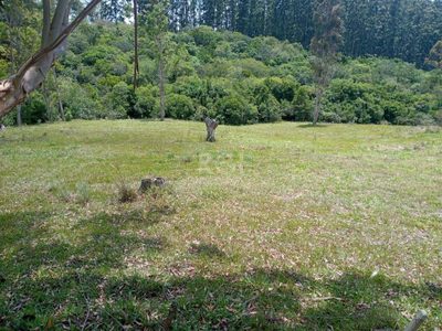 Sítio, 3 quartos, 12 hectares - Foto 5