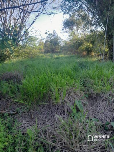 Terreno, 9 hectares - Foto 1