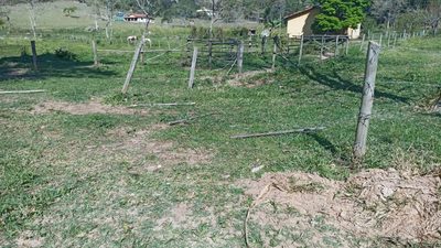 Chácara, 2 quartos, 5 hectares - Foto 3