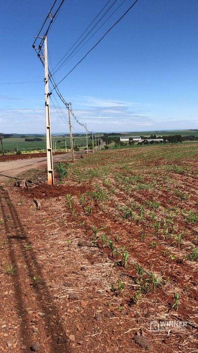Terreno, 121000 hectares - Foto 3