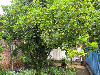 Casa, 3 quartos, 350 m² - Foto 1