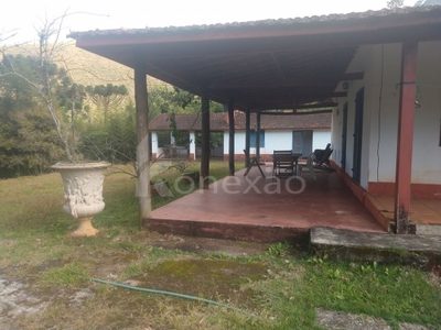 Fazenda, 361 hectares - Foto 3