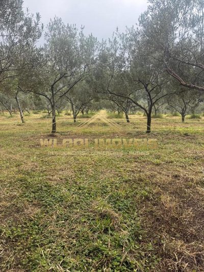 Fazenda, 85 m² - Foto 2