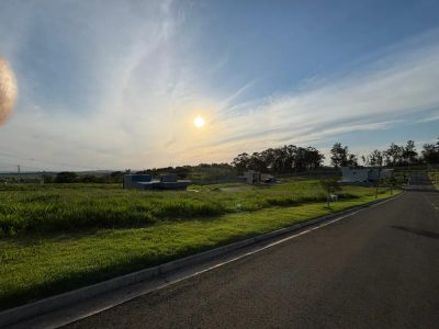 Terreno, 250 m² - Foto 4