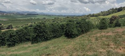 Fazenda, 200 m² - Foto 4