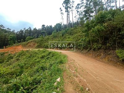 Terreno, 2 hectares - Foto 5