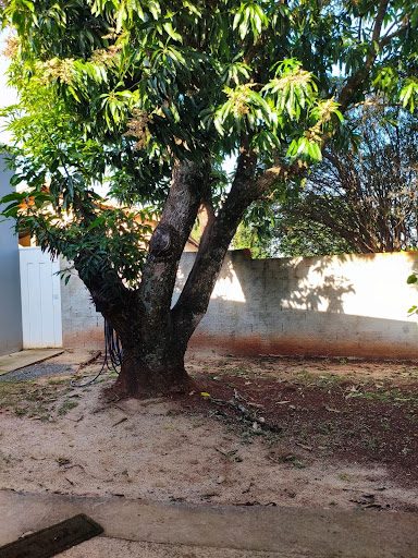 Chácara, 2 quartos, 2000 m² - Foto 4