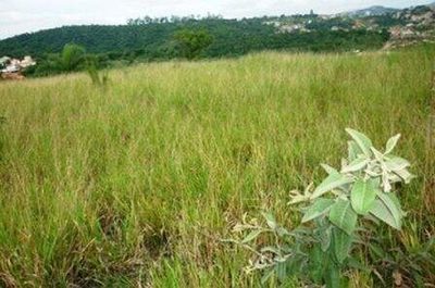 Terreno, 3600 m² - Foto 1