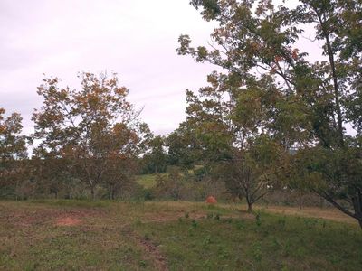 Fazenda, 23 hectares - Foto 4