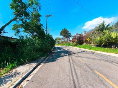 Terreno, 4 hectares - Foto 4