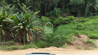 Terreno, 4 hectares - Foto 3