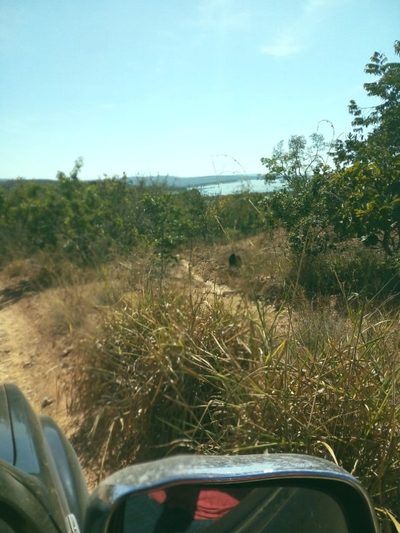 Fazenda, 723 hectares - Foto 2