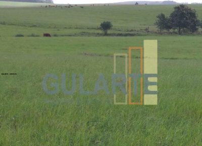 Fazenda, 330 hectares - Foto 3