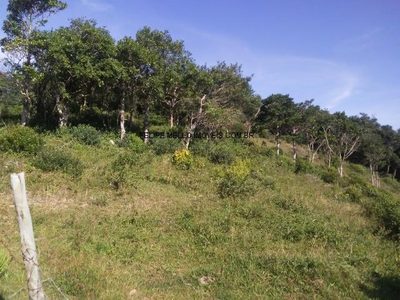 Terreno, 6850 m² - Foto 4