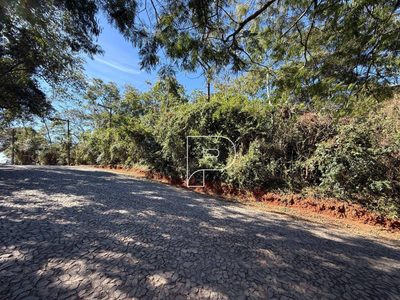 Loteamento e Condomínio, 2954 m² - Foto 3
