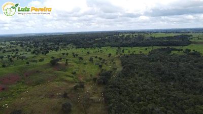 Terreno, 2400 m² - Foto 2