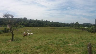 Terreno, 10000 m² - Foto 2