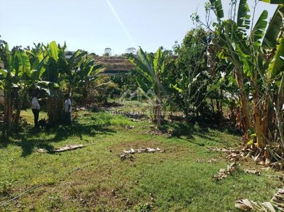 Terreno, 1700 m² - Foto 5