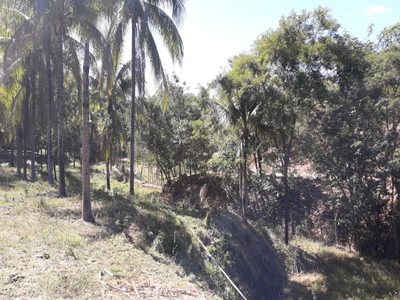 Chácara, 3 quartos - Foto 1