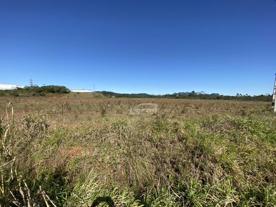 Terreno, 22 hectares - Foto 4
