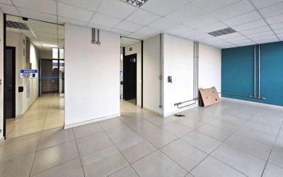 Depósito-Galpão, 1000 m² - Foto 3