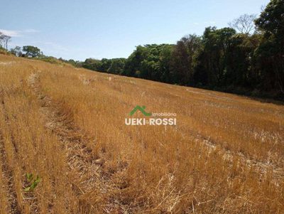 Sítio, 34 hectares - Foto 1