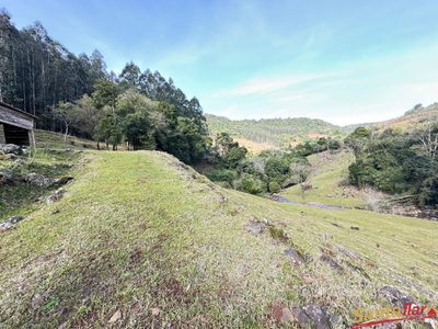 Sítio, 85 hectares - Foto 5