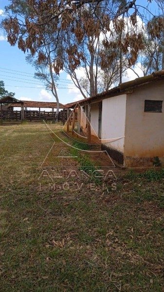Fazenda, 540 hectares - Foto 5