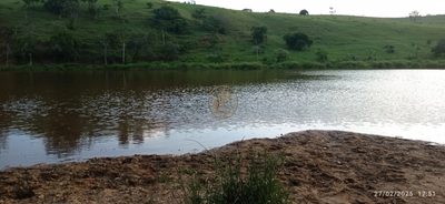 Fazenda, 260 m² - Foto 3